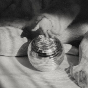 Tirage d'Art - Disco